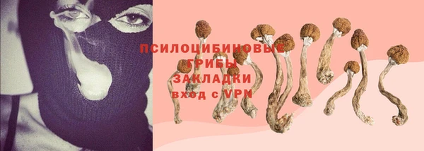 a pvp Арсеньев