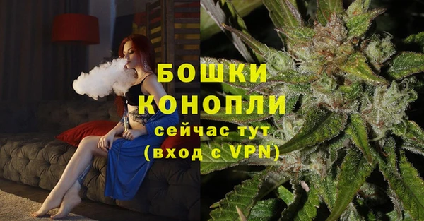МДПВ Аркадак