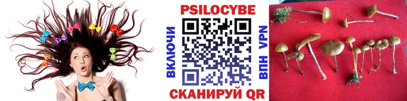 Купить где  Сысерть  Галлюциногенные грибы GOLDEN TEACHER 
